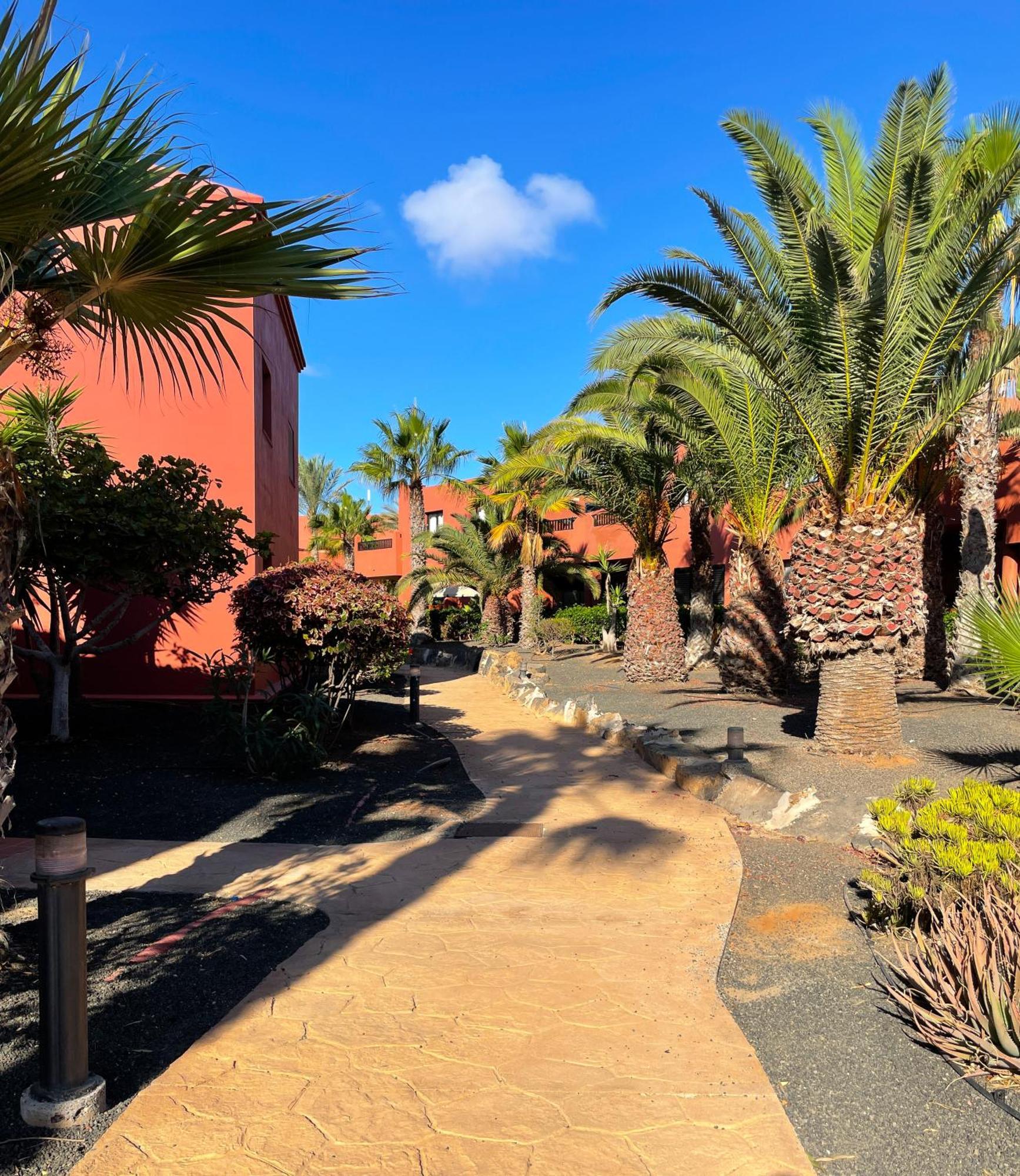 Oasis Tamarindo By Best Holidays Fuerteventura Коралео Екстериор снимка