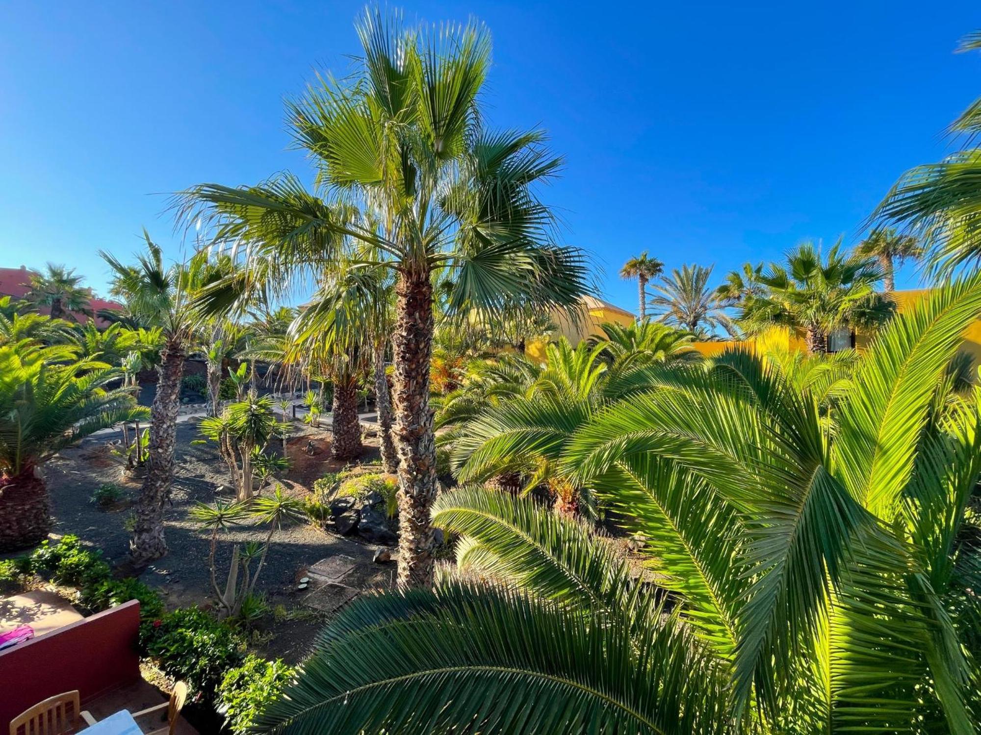 Oasis Tamarindo By Best Holidays Fuerteventura Коралео Стая снимка